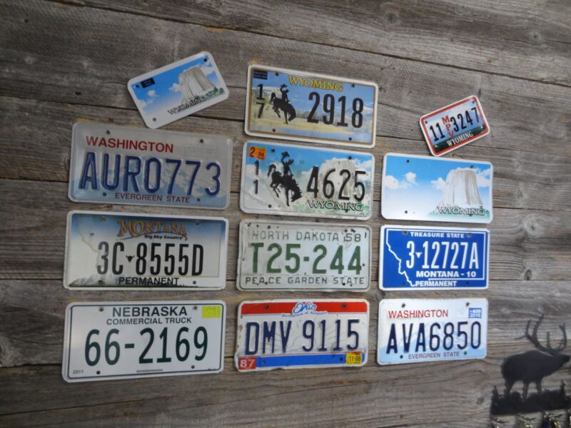 Craft Road Kill License Plates 12 License Plates with damage great for crafts!!!
