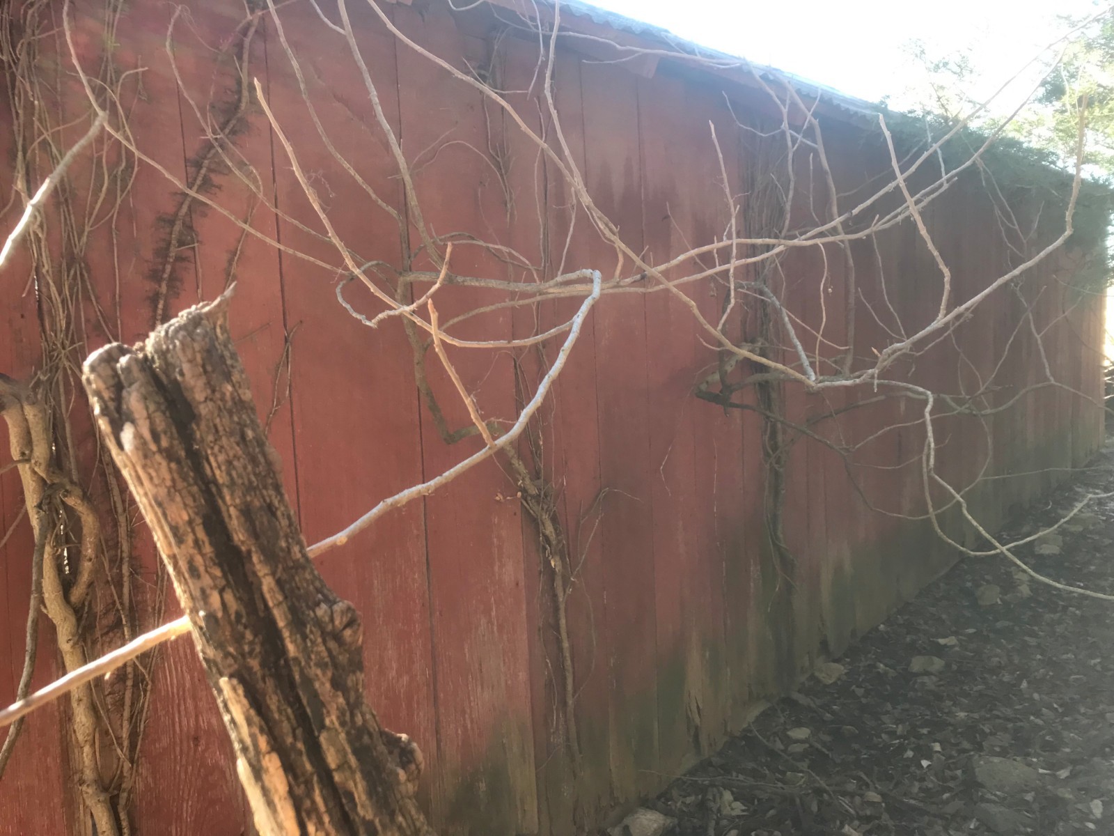 100 year old red barn wood & rustic tin