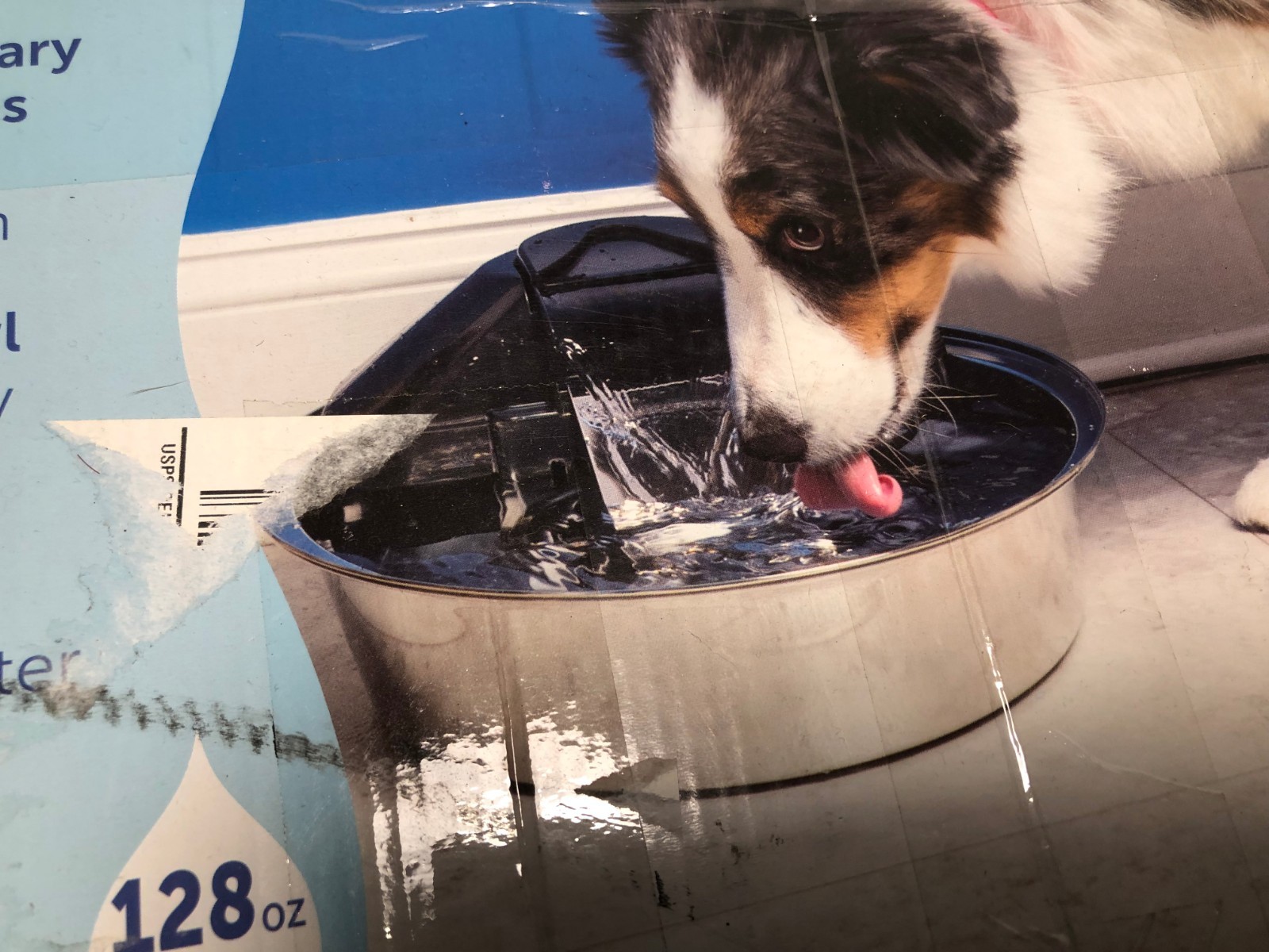 PetSafe Drinkwell Zen Stainless Steel Dog and Cat Water Fountain, Pet Drinking