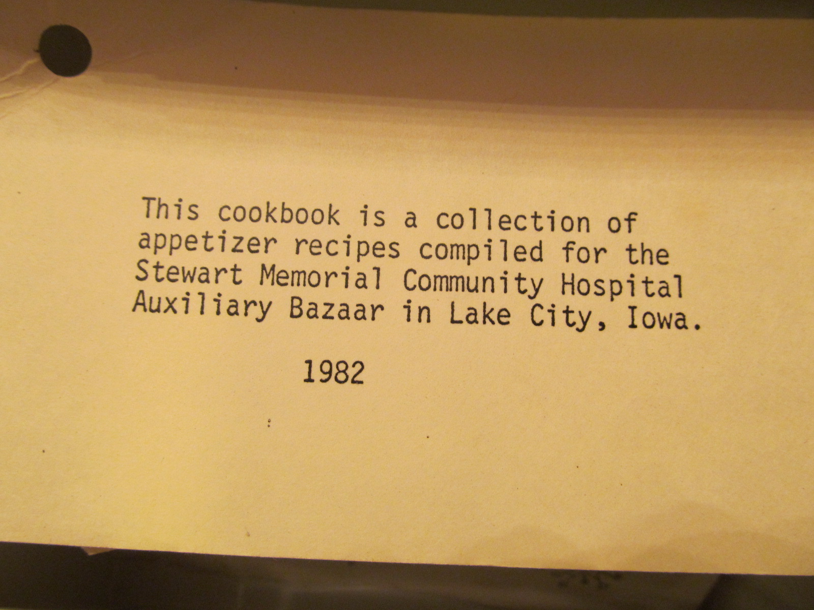 J Chen & Co~Fruit Theme~Recipe Card Holder Box~Lake City, Iowa~Full of Recipes