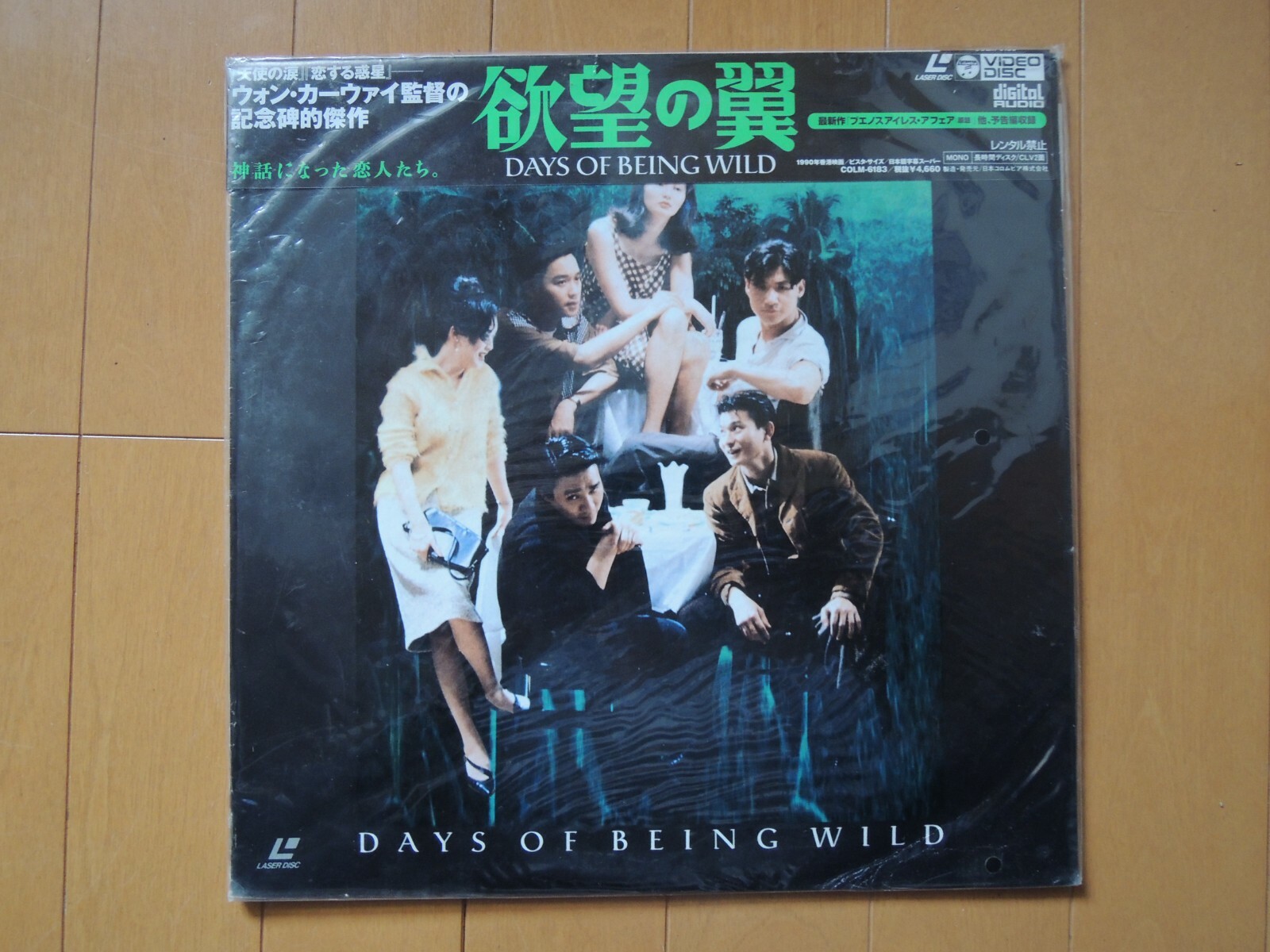 大特価 チラシ DAYS OF BEING WILD Wong Ka wai 1900 JAPAN Laser Disc LD 邦画・日本映画