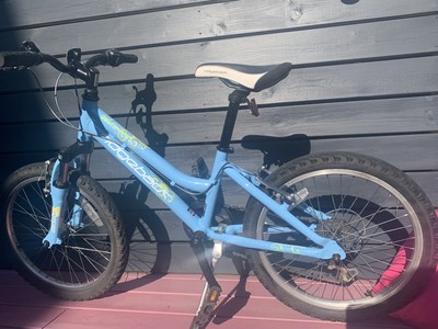 ridgeback mx20 blue