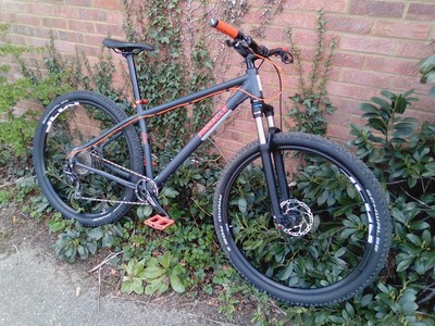 Pinnacle Ramin 29ER Mountain Bike