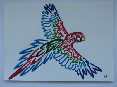 ACEO Original Art, Colorful Parrot, ink drawing, flying bird feathers tropical