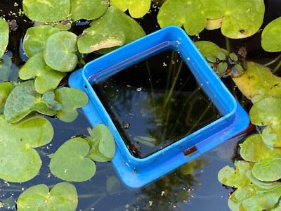 Self Adjusting Floating Ring for Feeding Fish or Plant Separation