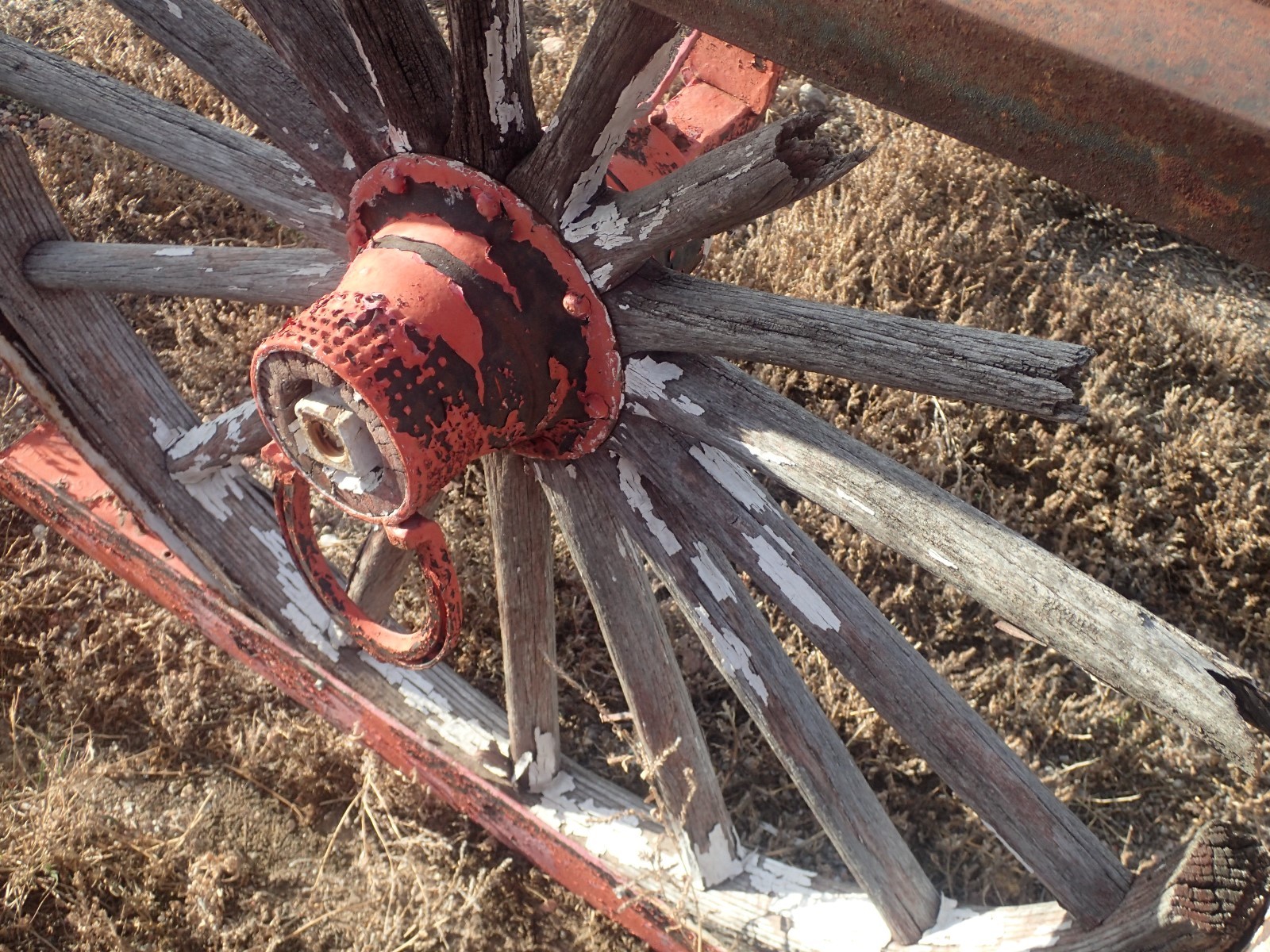 Antique Steel Wheels (Variety)