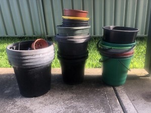 Free Buckets Assorted Garden Pots Pots Garden Beds Gumtree Australia Newcastle Area Wallsend 1264355028