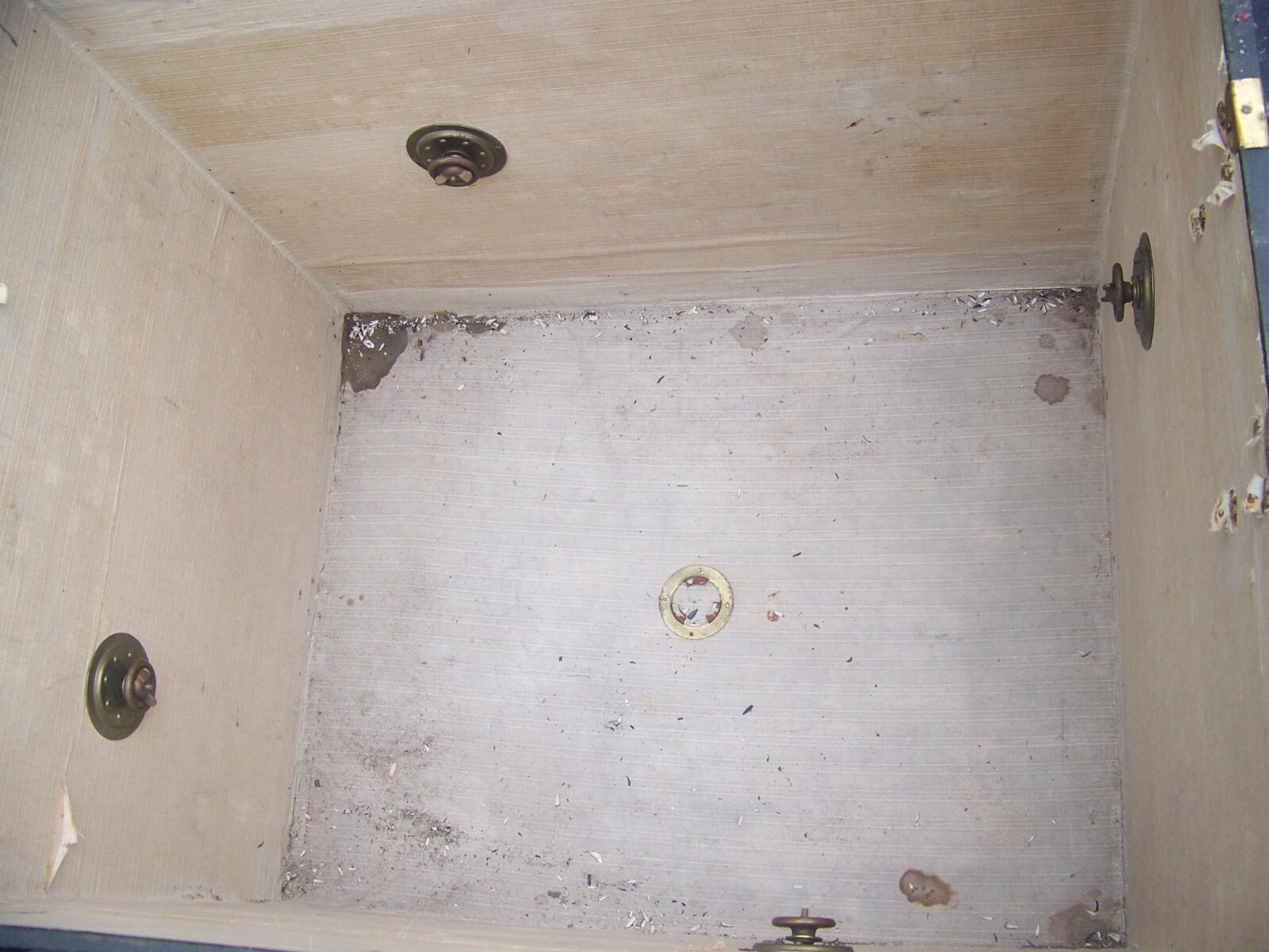 c1900 ANTIQUE HENRY LIKLY STEAMER TRUNK ROCHESTER GENEVA NY CAR BOOT 2 TRAYS