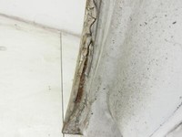 Fiat Ducato Boxer 250 14-23 L2H2 Tür Beifahrertür Rechts Vorne 549 Fiat Ducato Boxer 250 14-23 19.03.2016... Vorschau 10