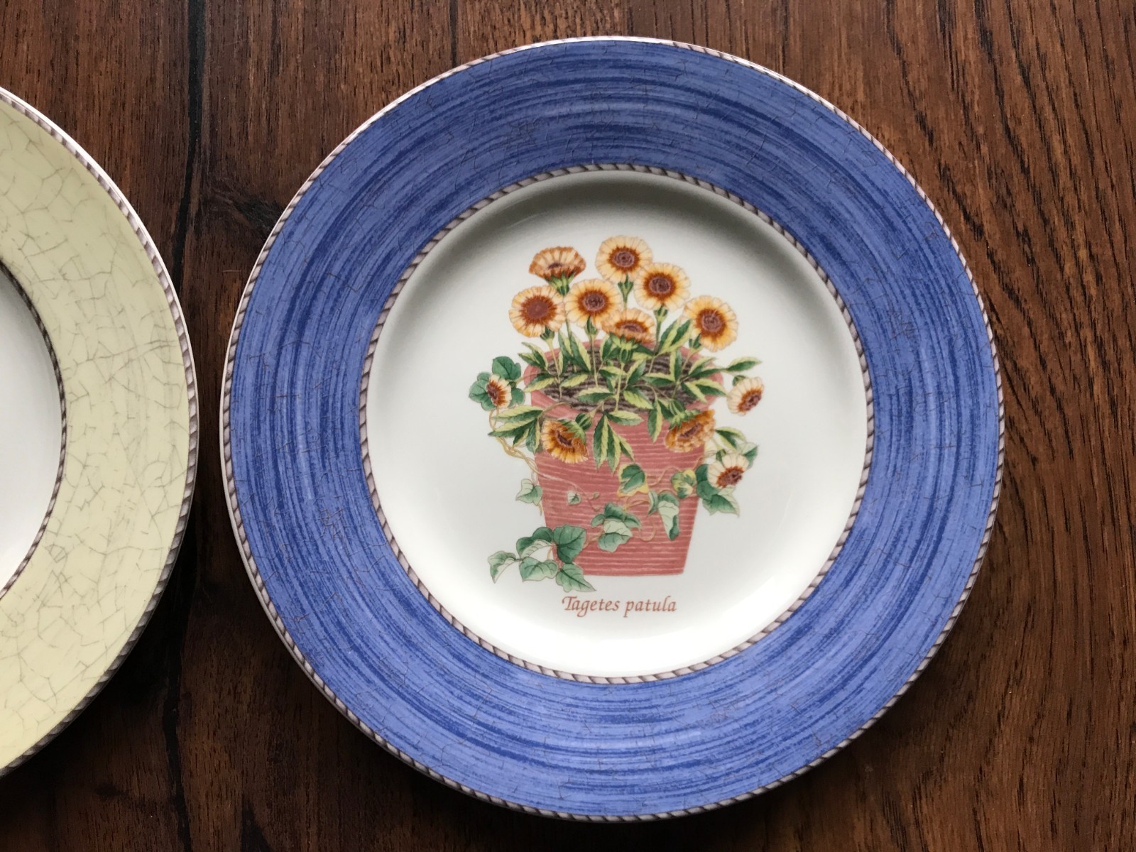 1977 Queen's Ware Wedgwood SARAH'S GARDEN Plate / 8 1/4