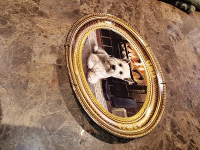 Photos de l'objet d'un acheteur vérifié