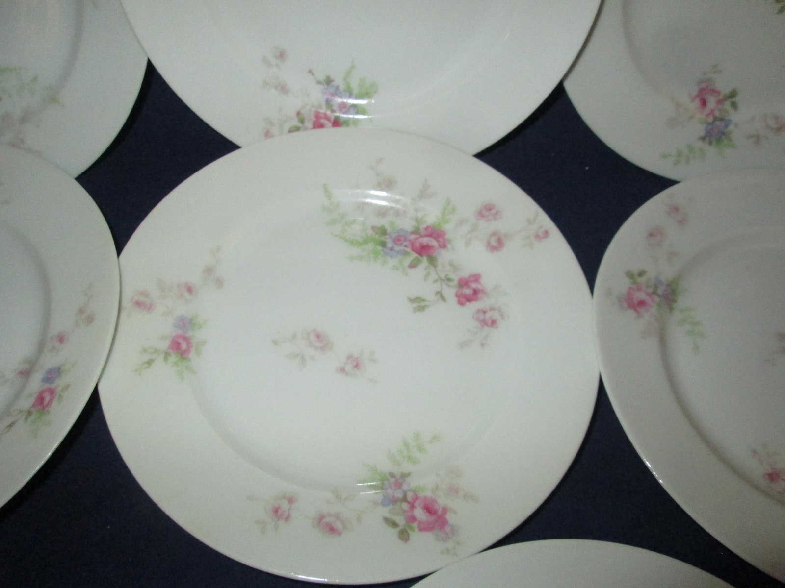 HAVILAND LIMOGES プレート 26㎝ 1枚 Antique Haviland Limoges France Fine China Porcelain Maple