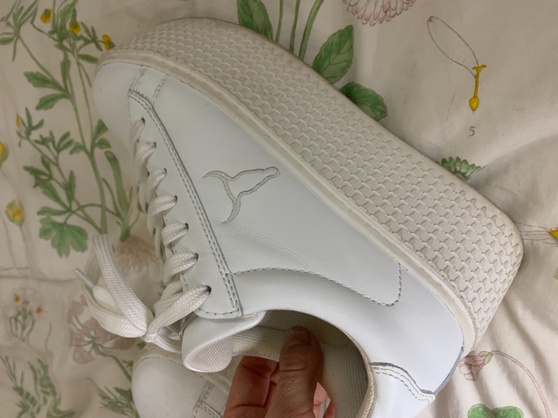 windsor smith sneakers sale