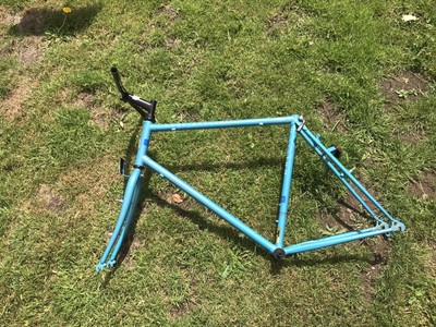 raleigh dunedancer retro steel reynolds 501 mtb bike frame
