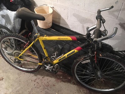 royce union 18 speed mountain bike