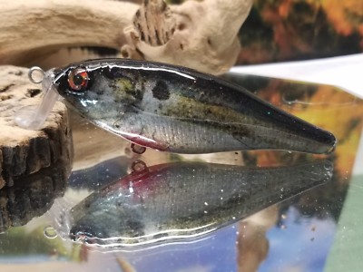 Custom wrapped and painted shad crankait