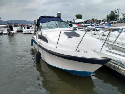 '86 Wellcraft 260 aft cabin boat