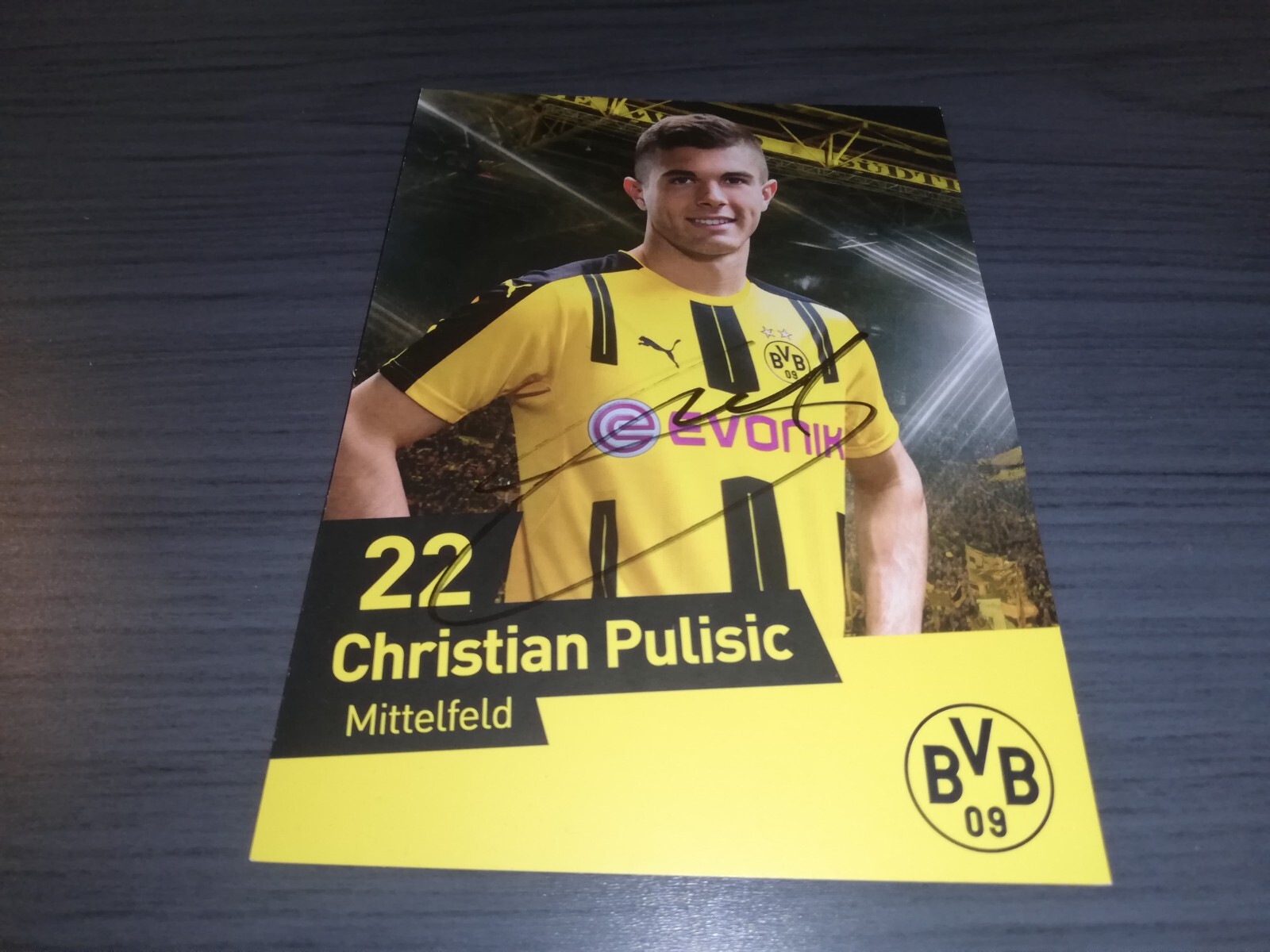 Christian Pulisic RC プリシッチ ルーキーカード 鑑定済み