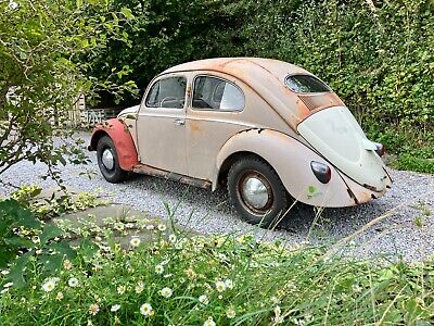 1956 VW Oval window Beetle. Original paint patina project.