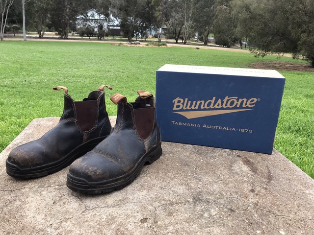 blundstone 41