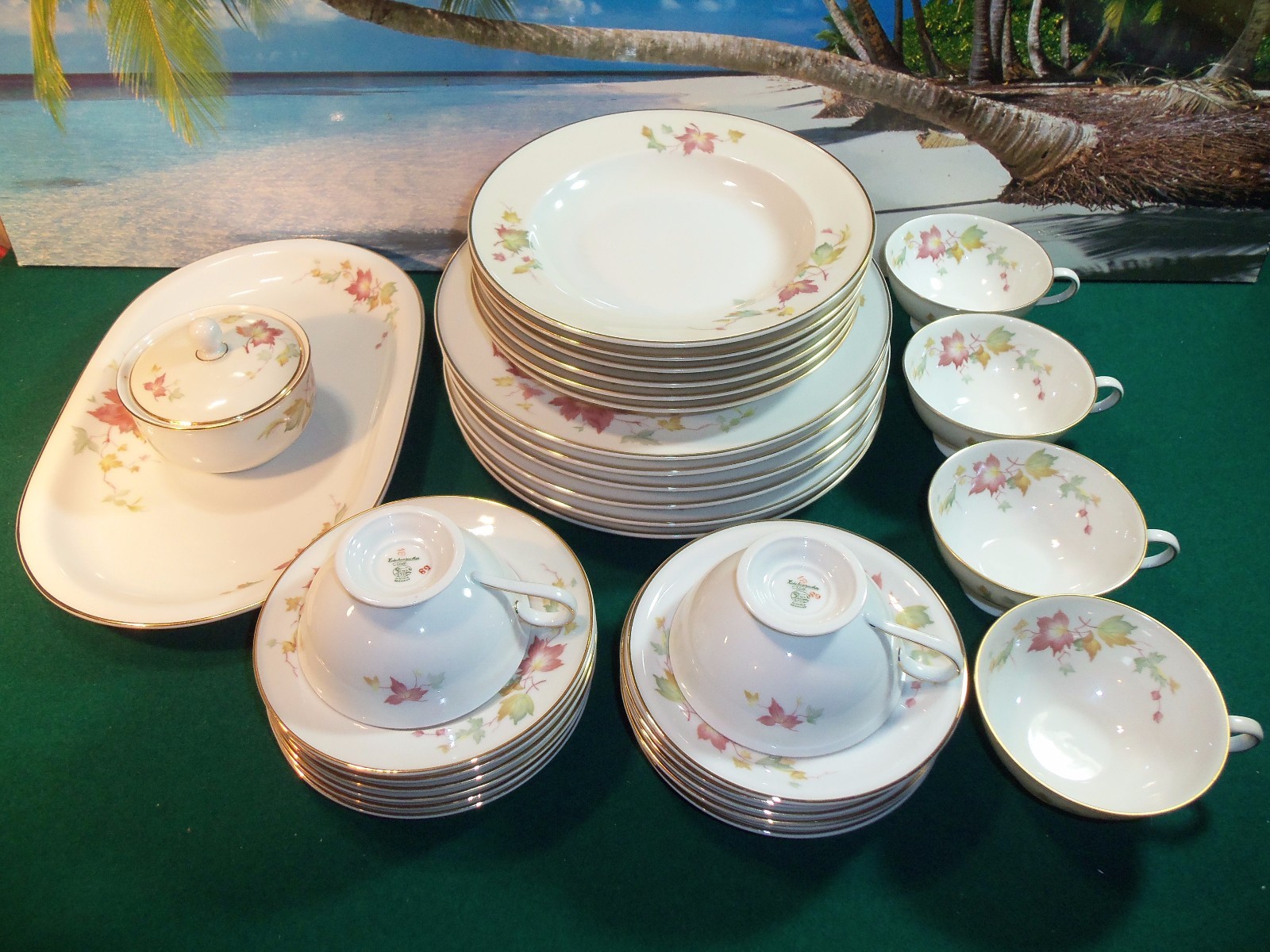 32 PIECE SET OF HUTSCHENREUTHER SELB BAVARIA GERMANY FURVEL CHINA