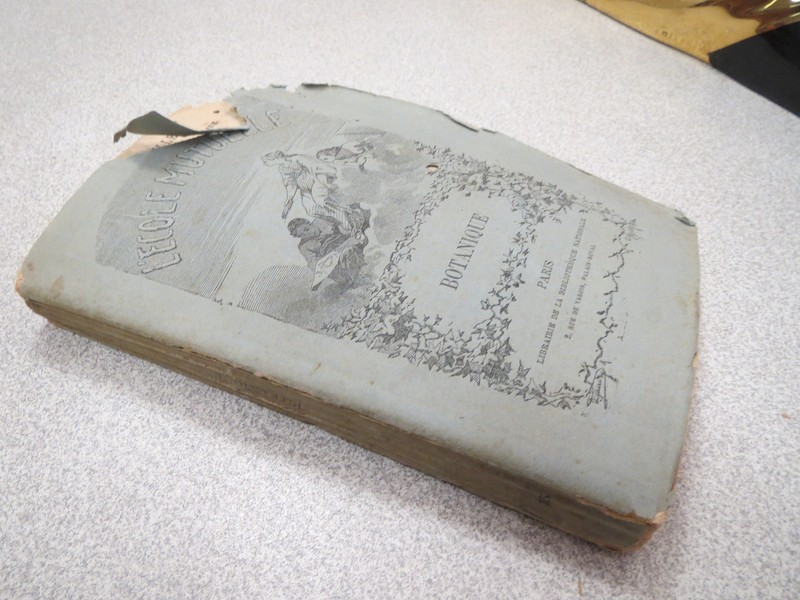 Ca853 Ecole Mutuelle Botanique Elementaire A Ysabeau 1879