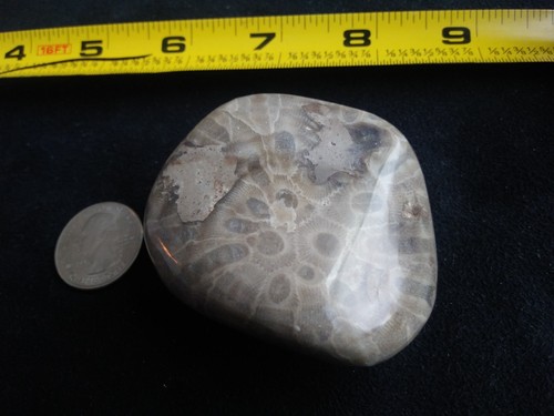 Petoskey Stone. 5.21 OZ. Ultra Polish.