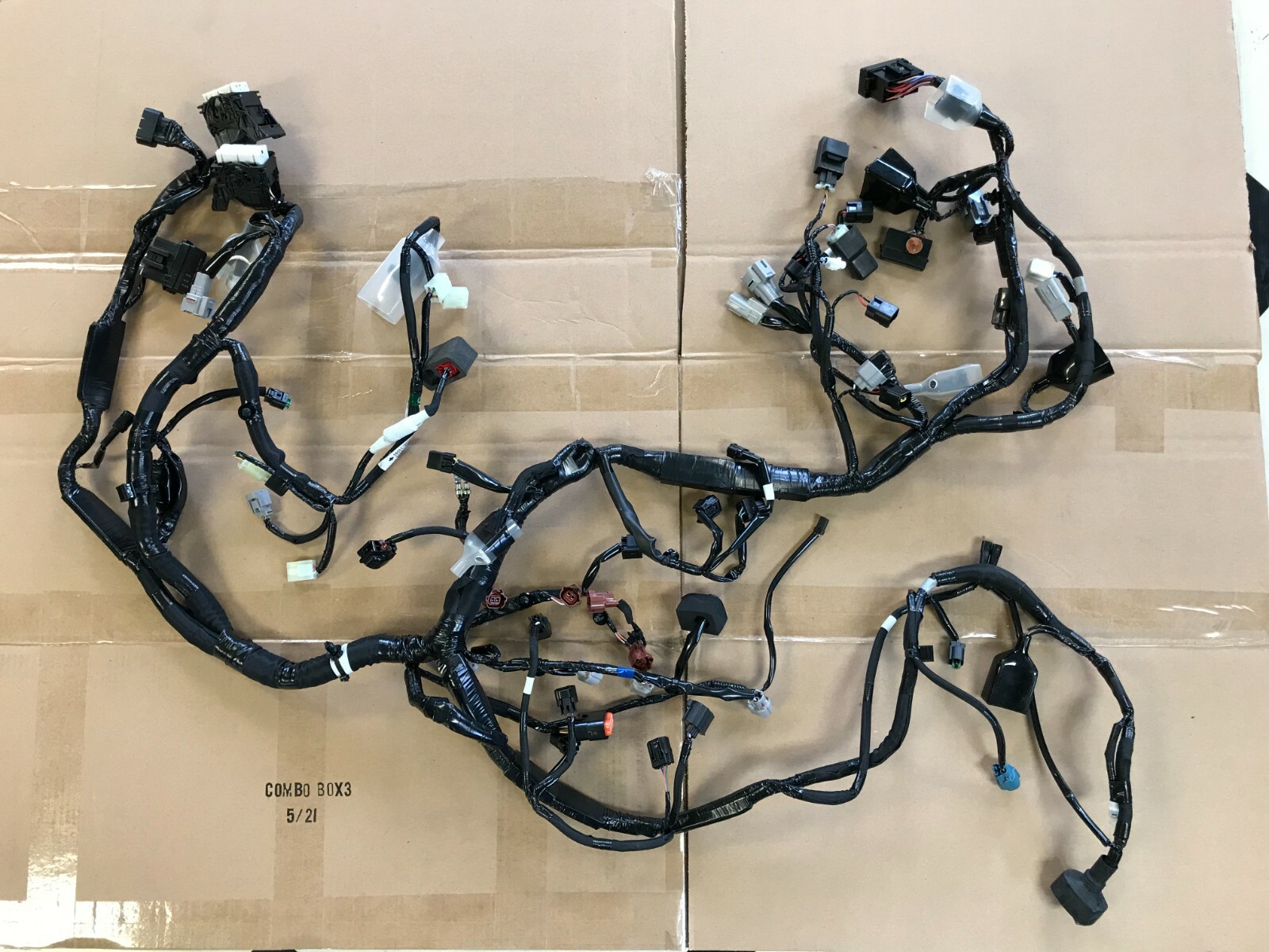 かめわし $_57.JPG?set_id=8800005007