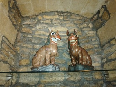 cani di fo-cani di pho