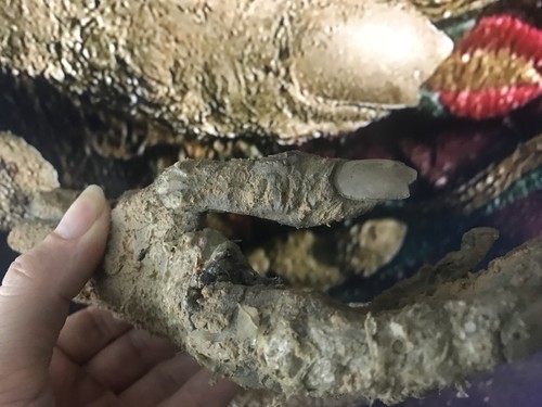 Tomb Raider Screen Used / Matched Himiko Hero Right Hand