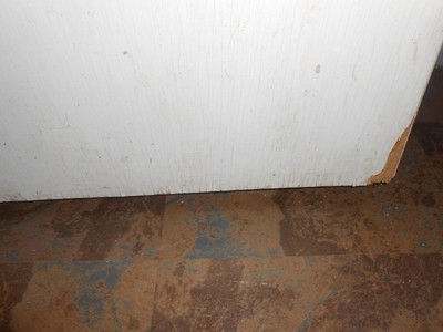 Vintage/Antique  General Use Interior Double Doors