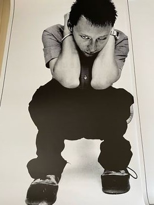 ビョーク　ポスター　Vespertine Amazon.co.jp: bjork ビョーク ヴェスパタイン B2 ポスター : ホビー