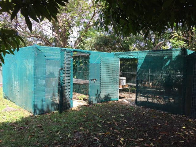 large greenhouse sheds & storage gumtree australia