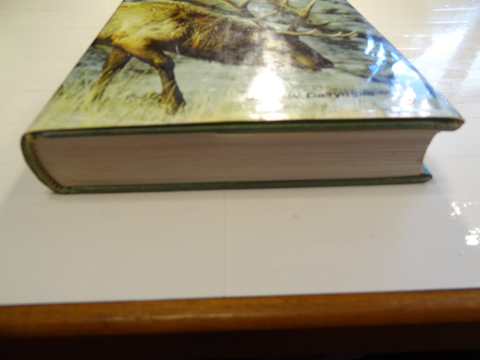 North American Big Game Hunting by Byron W. Dalrymple (1974, Hardcover) 1st ED!!