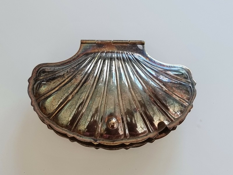 Coquillage En MÃ©Tal ArgentÃ© Old  Shels  Coquille