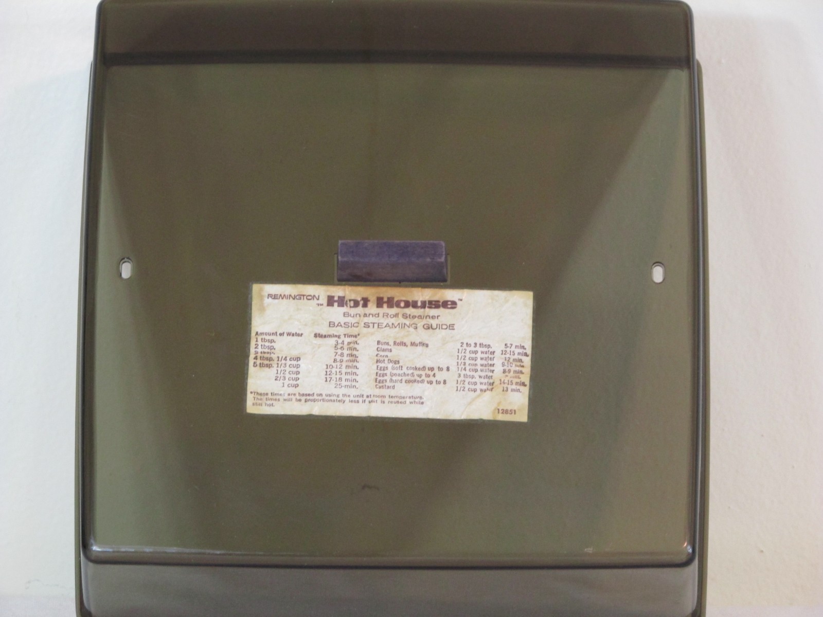 Vintage Remington Hot House Food Steamer Tested Working Complete Original Box