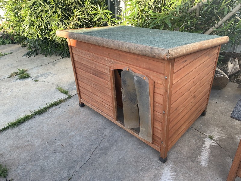 talking baby sinclair doll for sale