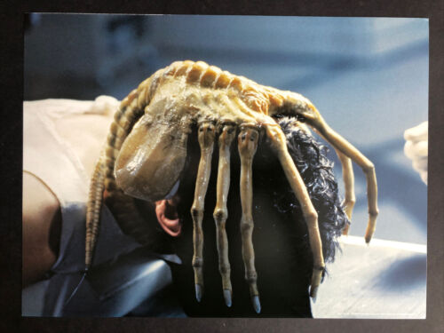 Face Hugger Alien Movie Poster Print 12