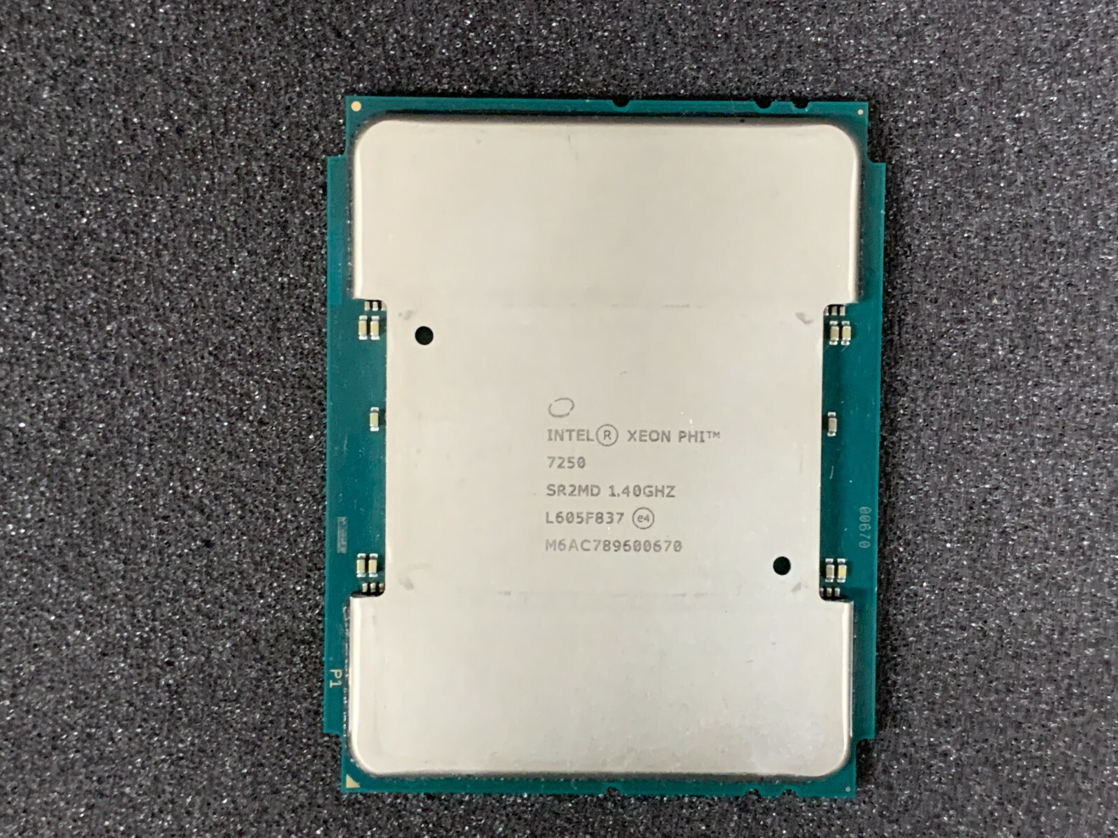 Процессор для серверов intel xeon bronze 3104 1. Intel xeon e-2274g oem. Процессор intel xeon gold 6256. Xeon 64. Xeon 64.