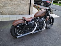 2015 Harley-Davidson SPORTSTER IRON XL883N (non-ABS) Hard Candy Custom (15MY) Pe