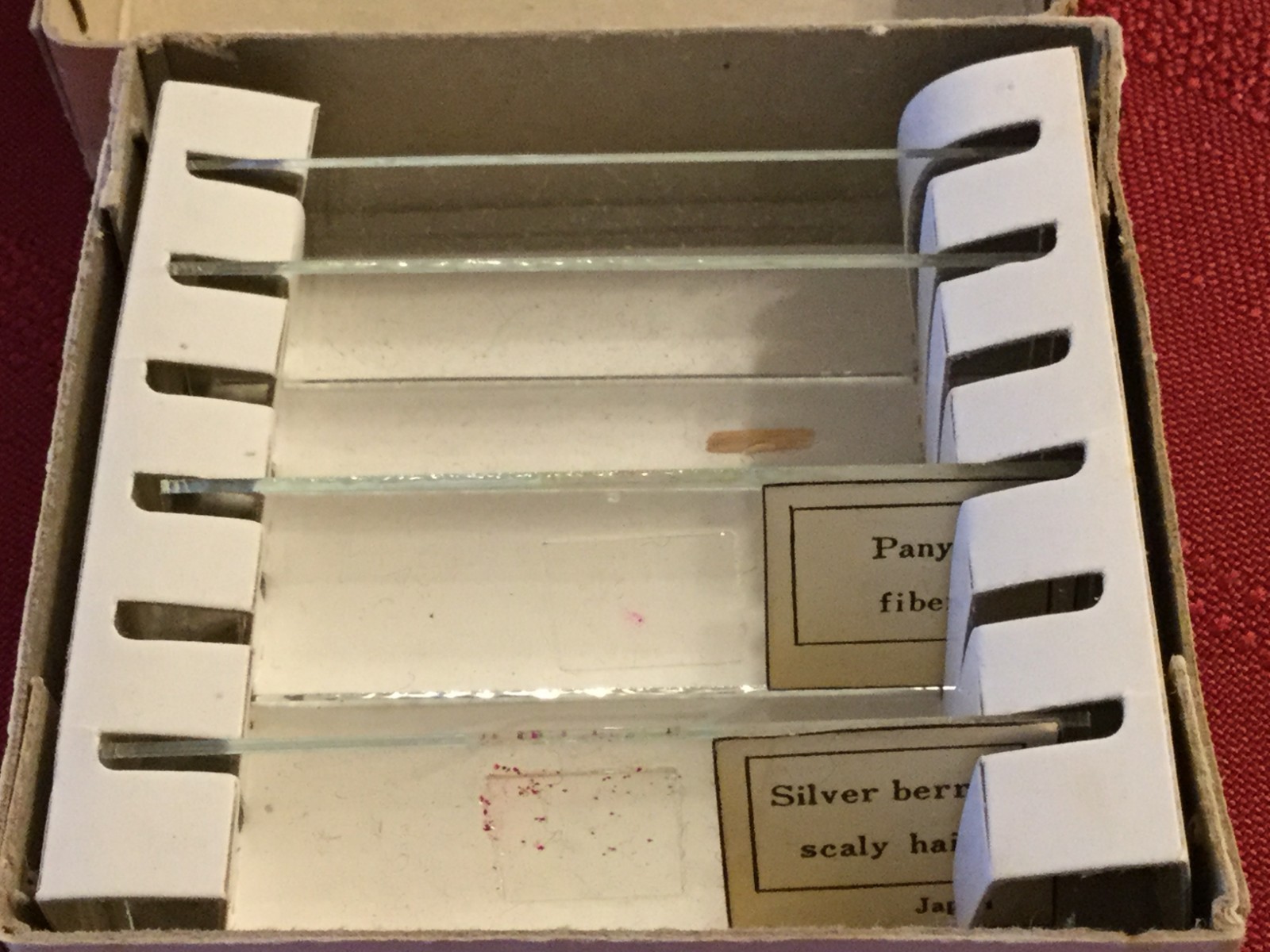 Vintage Prepared Slides, Specimen 2 ea, Blank 2 ea (s/b 4) Japan In Original Box