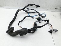 Nissan Pathfinder III R51 07-13 Kabelbaum für Tür und Fensterheber Rechts Vorne Nissan Pathfinder III R51 07-13... Vorschau 2