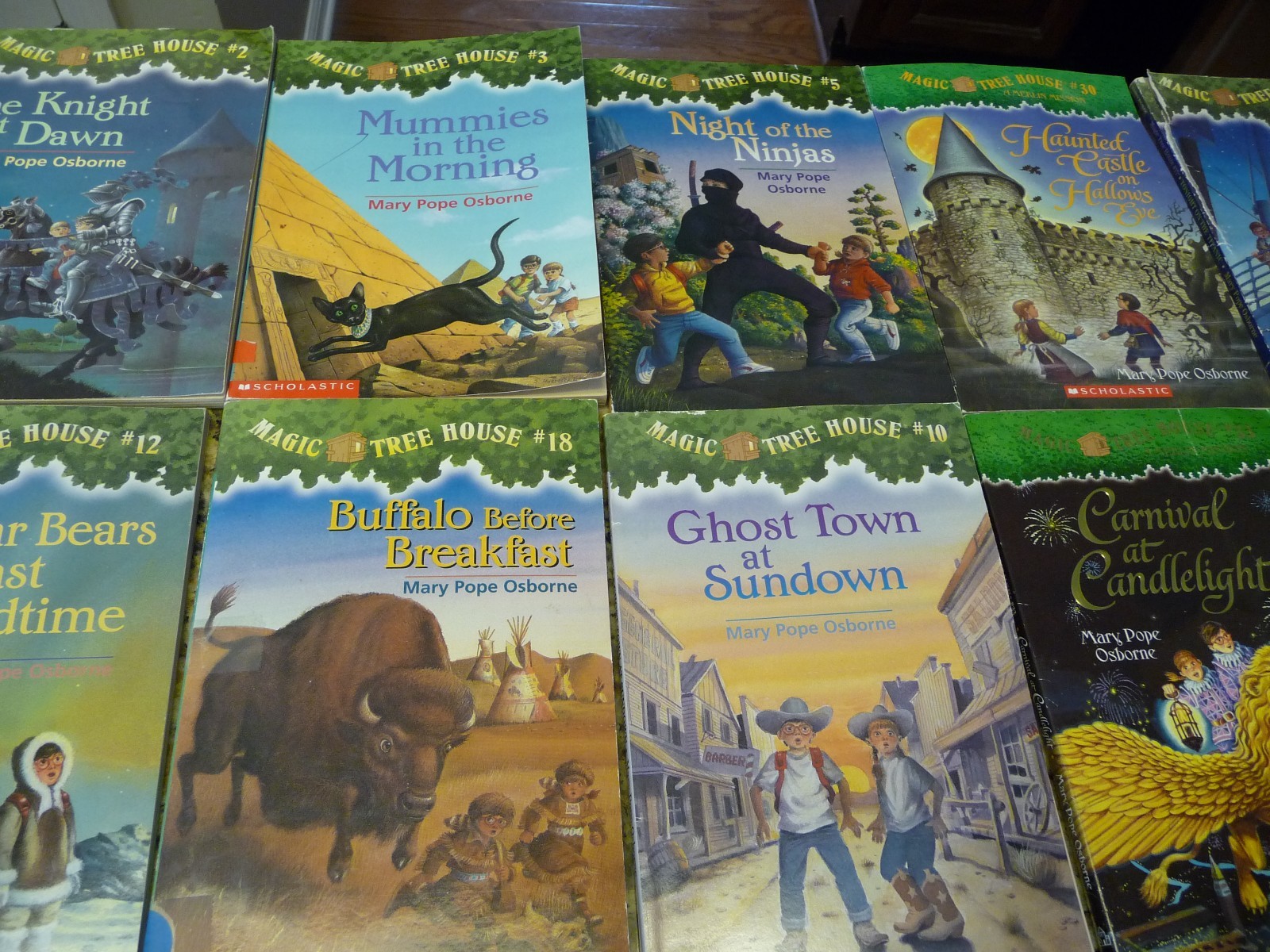 25 The Magic Tree House paperback hardcover book lot Mary Pope Osborne childrens