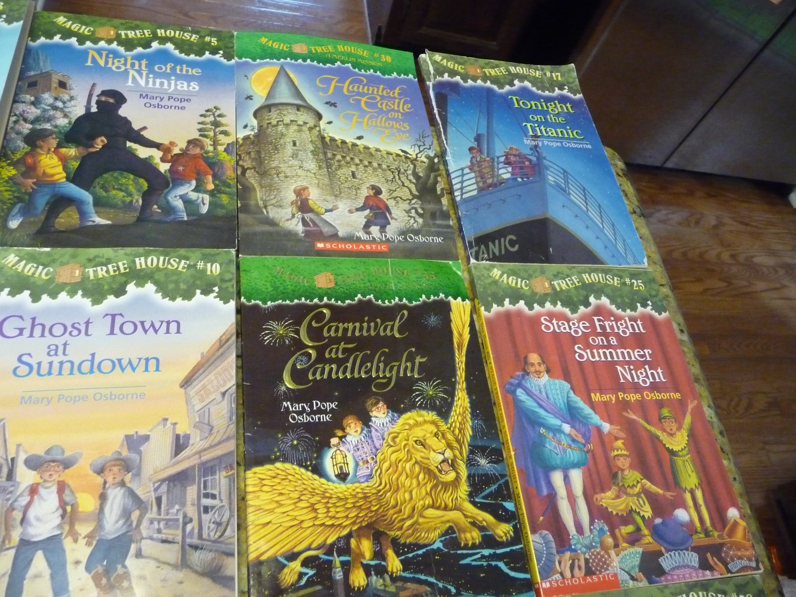 25 The Magic Tree House paperback hardcover book lot Mary Pope Osborne childrens