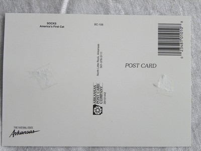 Socks - America's First Cat - Clinton Cat Post Card