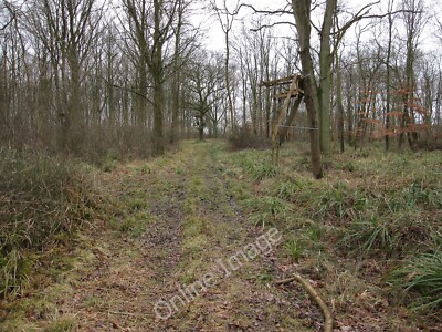 Photo 12x8 High seat for shooting deer Widgham Green Looking down [[175118 c2010
