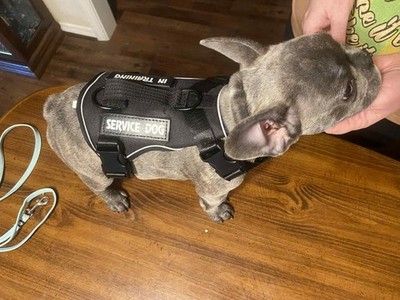 Fotos del artículo de un comprador verificado