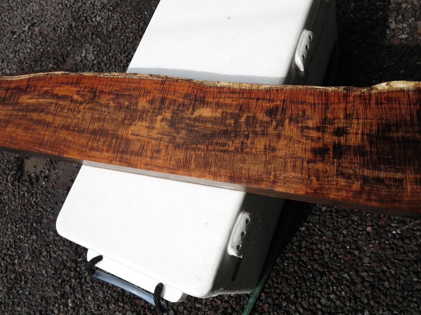 Koa Curly Hawaiian Wood A-15