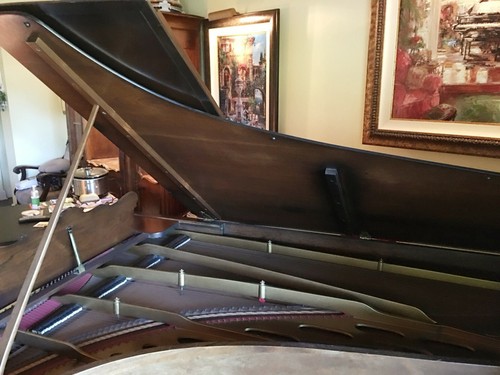 Steinway concert grand piano - 1 of 2 Left In the entire World of this Model!