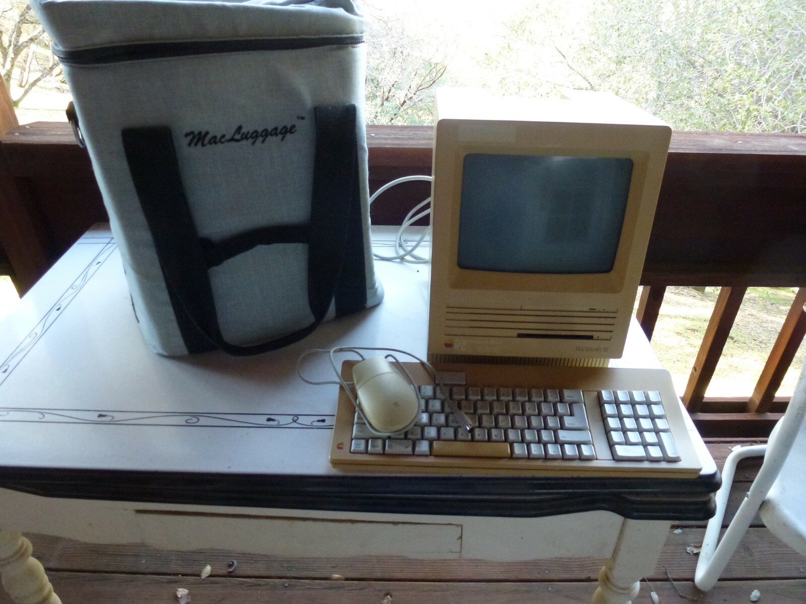 Vtg Apple Macintosh SE 1 Mbyte RAM 800K Drive 20SC Computer w/ Soft Case Mac Bag